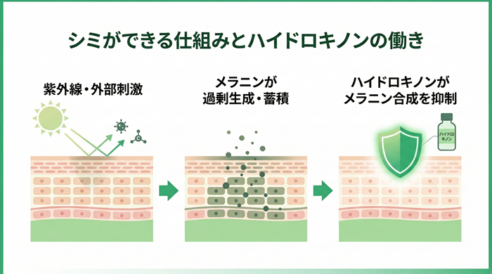 ハイドロキノンでシミを抑制する方法